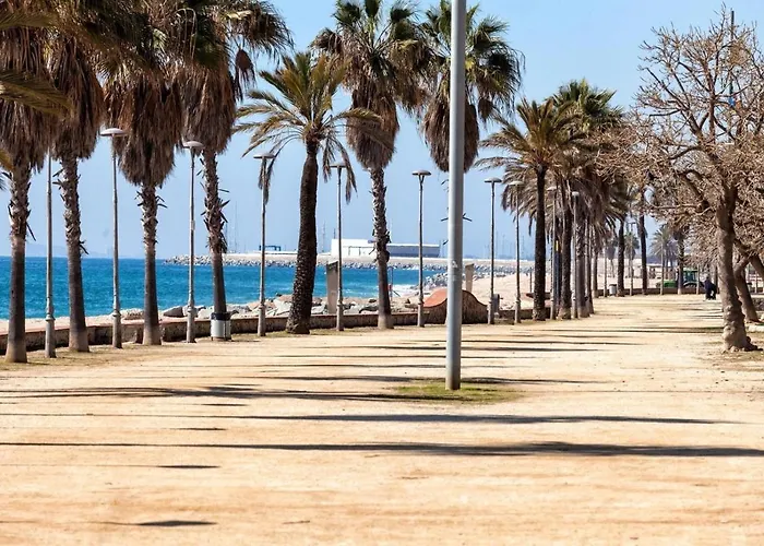 Petit Loft * Canet De Mar
